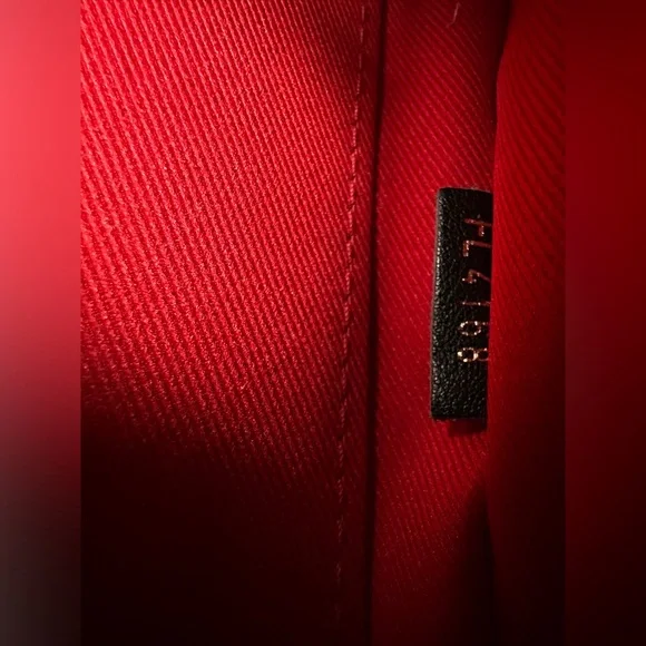 LV Palm Springs Mini - Picture 7 of 7